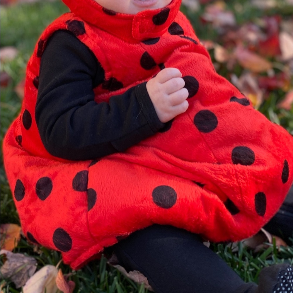 Bug outfit